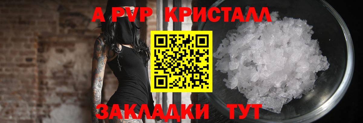 Альфа ПВП СК КРИС  Вход с VPN  Альфа ПВП  A-PVP крисы CK  Черкесск 